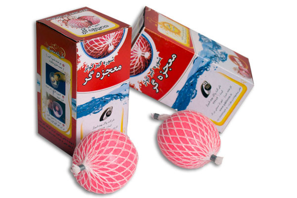 شوره گیر کولر معجزه گر